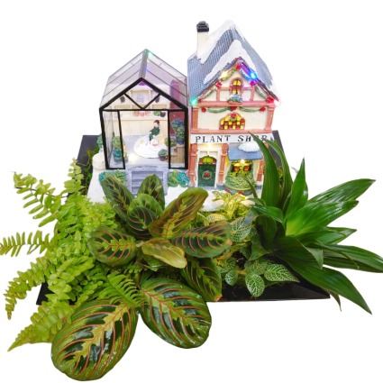 The Plant Shop House plant