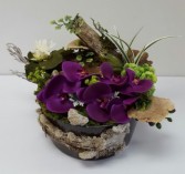 The Pondering Frog Interior Decor
