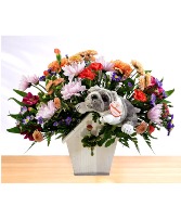 The Pooch House  Dog House Wooden Box Arrangement