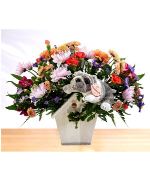 The Pooch House  Dog House Wooden Box Arrangement