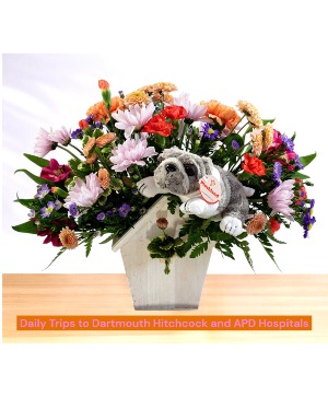 The Pooch House  Dog House Wooden Box Arrangement