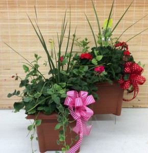 The Porch Pot