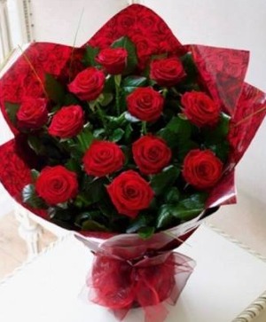 THE POWER OF RED One dozen red roses