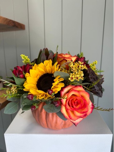 The Pumpkin Harvest  in Frisco, TX | PATTI ANN'S FLOWERS