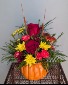 Mini Pumpkin Patch 