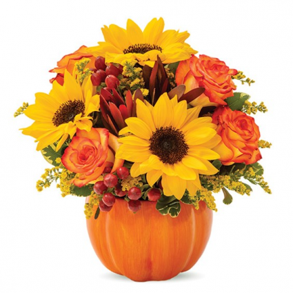 The Pumpkins Boo