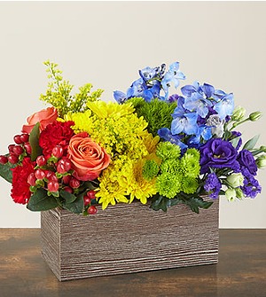 The Rainbow Collection Centerpiece