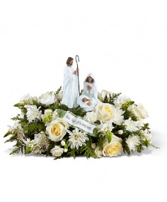Category Image