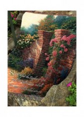 The Rose Garden 50