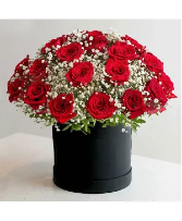 THE ROSE IS WITHOUT AN EXPLANATION 