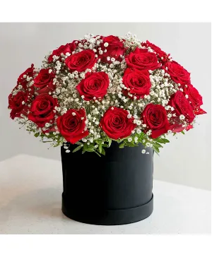 THE ROSE IS WITHOUT AN EXPLANATION 