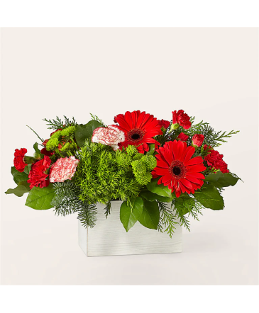 The Rudolph C22d Bouquet in Fort Worth, TX | DARLA'S FLORIST