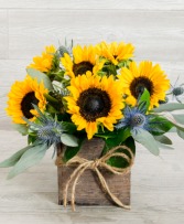 The Rustic Sunflower 