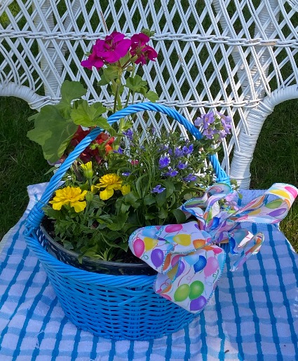 THE SECRET GARDEB ASST OUTDOOR BLOOMING PLANTS CELEBRATING MOMENTS TO SHARE