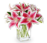 The Shining Stargazer Bouquet 