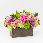 The Simple Charm Bouquet