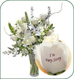 The Sorry Bouquet Everyday