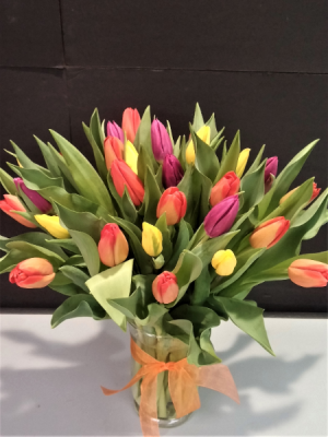 MULTICOLOR TULIPS IN A VASE. AT THEIR BEST FROM MARCH TO MAY