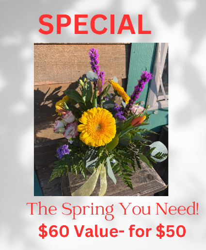 The spring you need 
