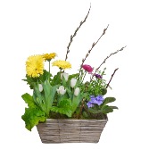 The Springtime Garden Basket 