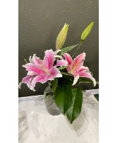 The Stargazer Vase Arrangement
