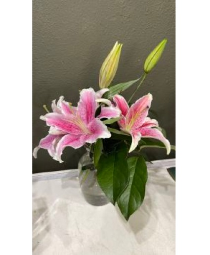 The Stargazer Vase Arrangement