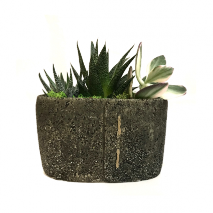 The Stitch Succulent Planter