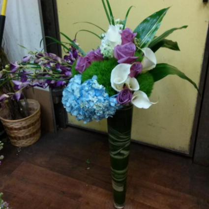 The Stunner Arrangement