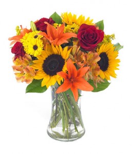 The Sun Flower Fall Flowers
