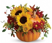 The Sunflower Pumpkin  