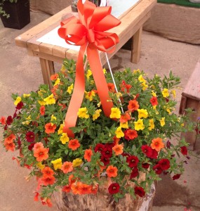 The Sunshine Basket Hanging Basket