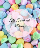 The Sweetheart Bloom  Valentines Day Arrangement 