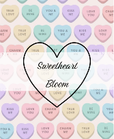 The Sweetheart Bloom  Valentines Day Arrangement 