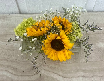 The Tonya  in Easton, MD | Garden Treasures LLC
