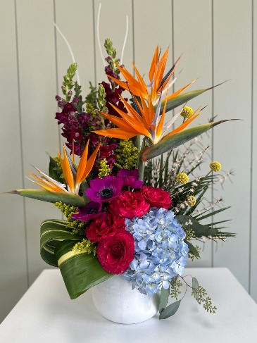 The Tropical Paradise  in Frisco, TX | PATTI ANN'S FLOWERS