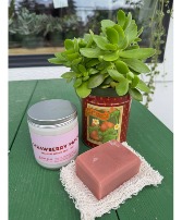 The Very Berry Bundle 