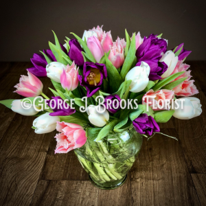 TULIPMANIA Dutch Tulips in Simple Glass Vase