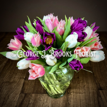 TULIPMANIA Dutch Tulips in Simple Glass Vase in Brattleboro, VT | George J. Brooks Florist LLC