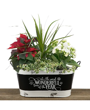 Christmas Planter - The Wonderful Time Metal 