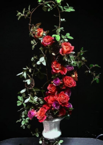 Rose Tower rose