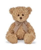 Theodore Bear 