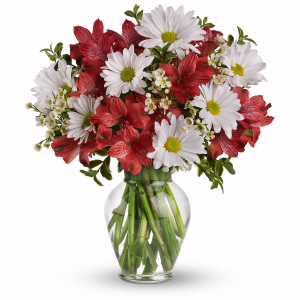 Thinking Of You Arrangement in Winston Salem, NC | RAE'S NORTH POINT FLORIST INC. Thinking Of You Arrangement in Winston Salem, NC | RAE'S NORTH POINT FLORIST INC.