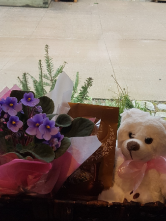 THINKING OF YOU Plant, chocolates and bear
