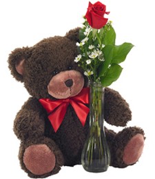   This one's for You   Brown Teddy with Rose