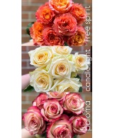 This Week's Roses Designer's Choice