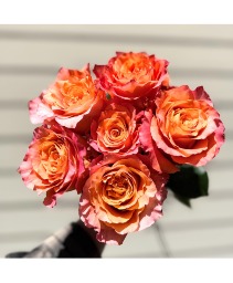 This Week's Roses Designer's Choice