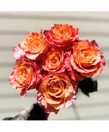 This Week's Roses Designer's Choice in Fairview, OR | QUAD'S GARDEN - Home to Trinette's Floral This Week's Roses Designer's Choice in Fairview, OR | QUAD'S GARDEN - Home to Trinette's Floral