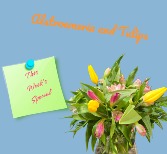 This Weeks Special  