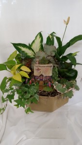 Thomas Kincaid Garden Dish Garden