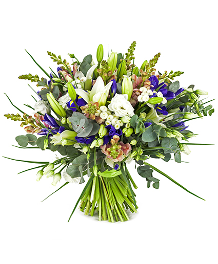 Isla Bouquet
